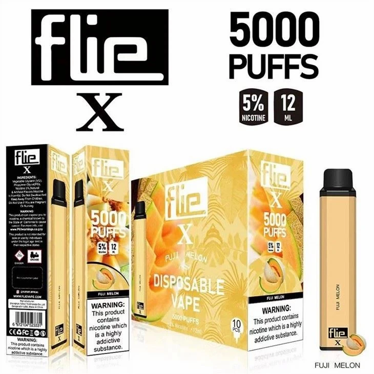 Flie X 5000 Electronic Cigarette Disposable Vape suppliers